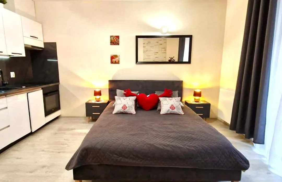Cracow NOVUM Apartment Downtown 4 persons-1